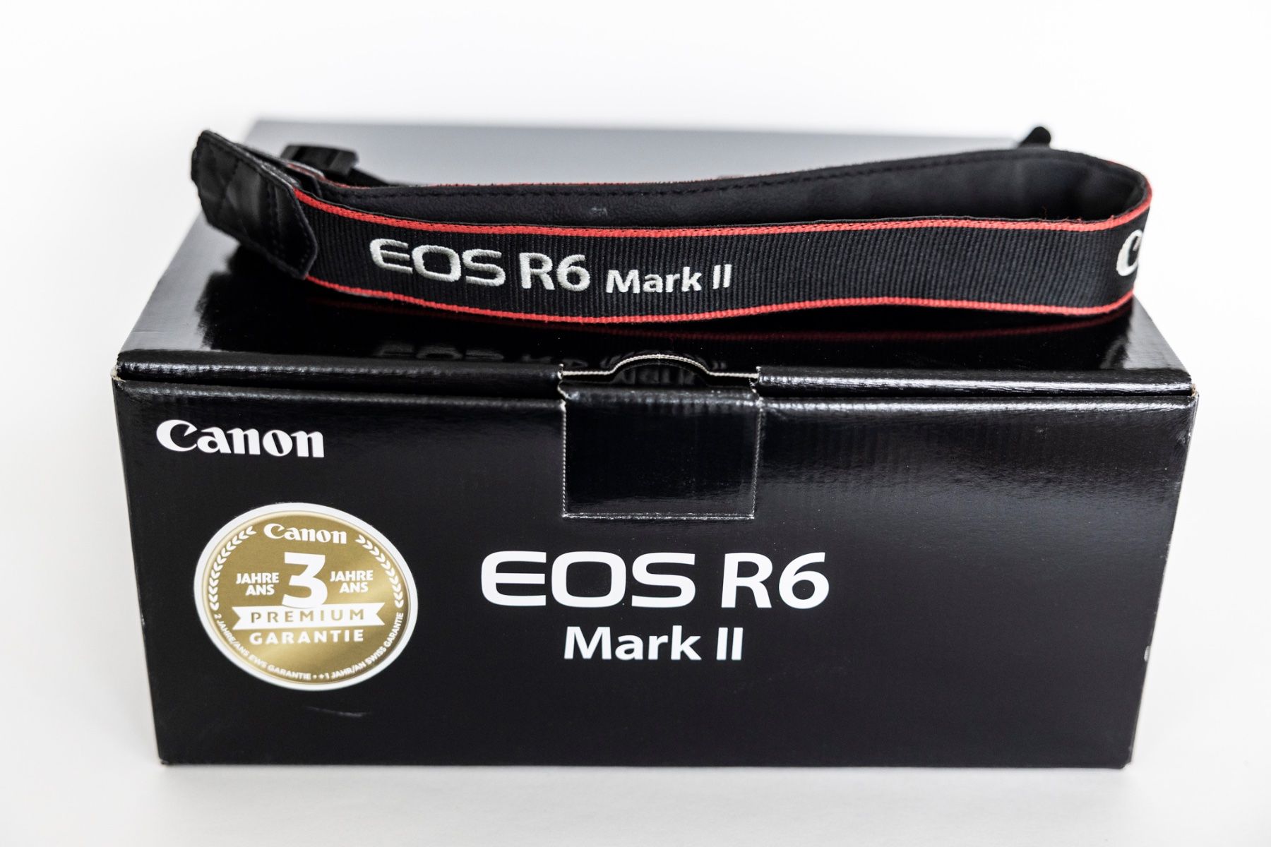 Canon Fotocamera: Canon R6 Mark ii – Usato da steinhausen venduto da westbam50 6