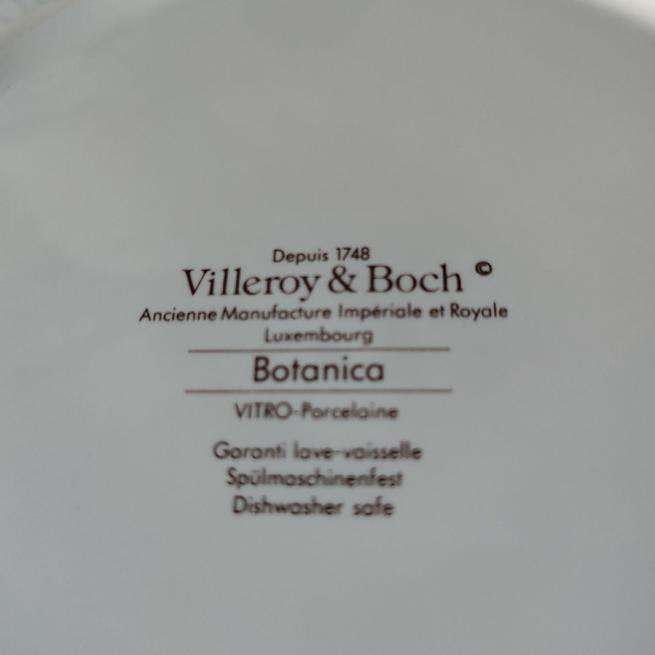 Villeroy & Boch Set di piatti: Villeroy & Boch Botanica tableware set zustand 9/10 – Usato da Dietikon venduto da aberdeen30 9