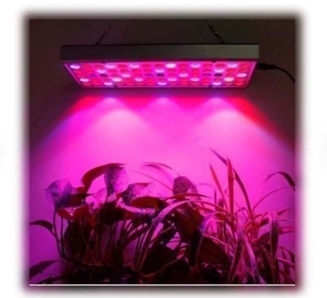 Lampade: LED Grow Light LED Pflanzenlampe – Nuovo e nell'imballaggio originale da Amriswil venduto da Ravinvida 1