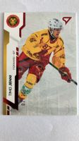 02/20 Timo Jenni Sportzoo Red SCL Tigers SC Langnau