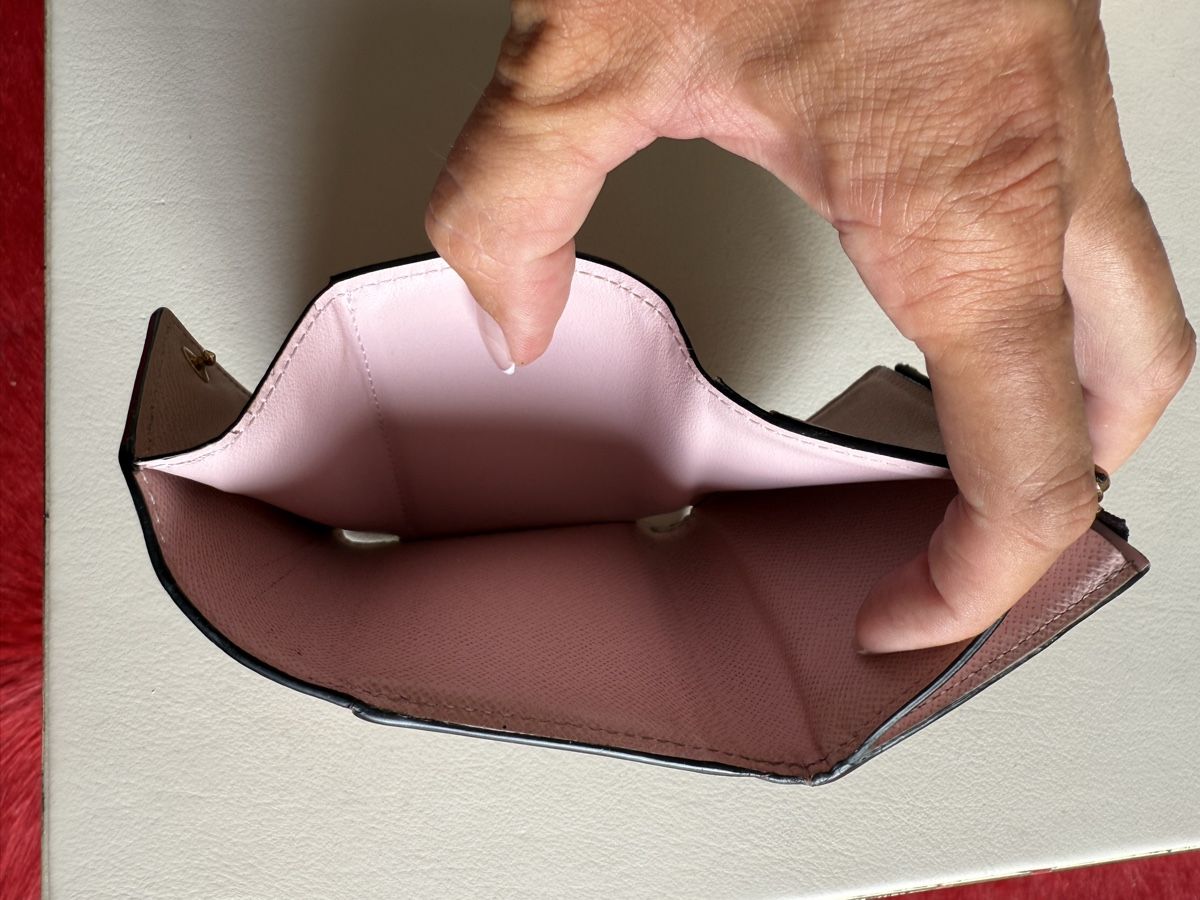 Louis Vuitton Portamonete: Louis Vuitton Victorine wallet mit Box – Usato da Zollikon venduto da sba_5tf2 2