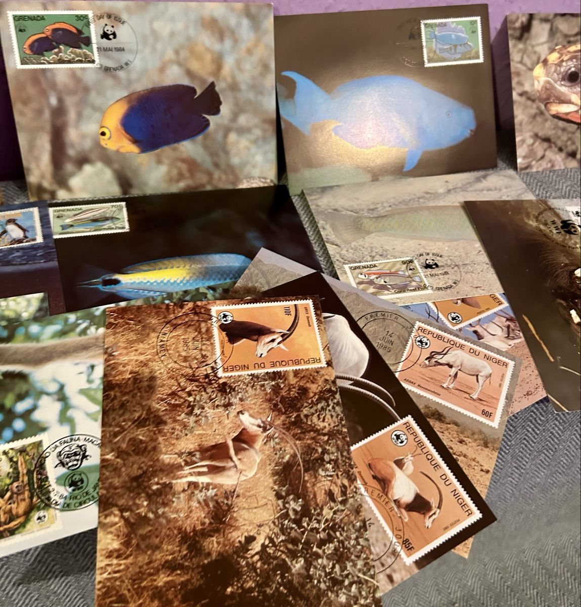 Tutti i francobolli: Lot de 21 cartes maximum – Usato da Petit-Lancy venduto da Pierre_le_voyageur 1