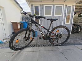 Kinder Velo von Felt