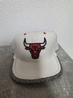 Chicago bulls
