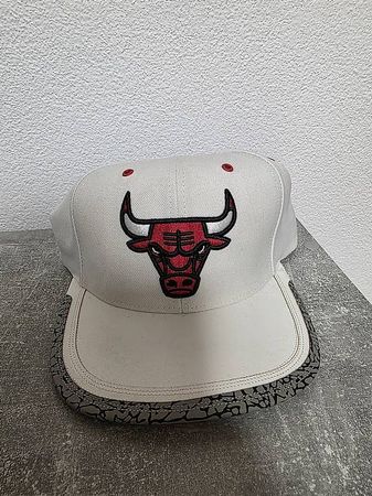 Chicago bulls