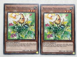 Yu-Gi-Oh! Naturia-Traubenkraut HAC1-DE114 Deutsch Common 1.