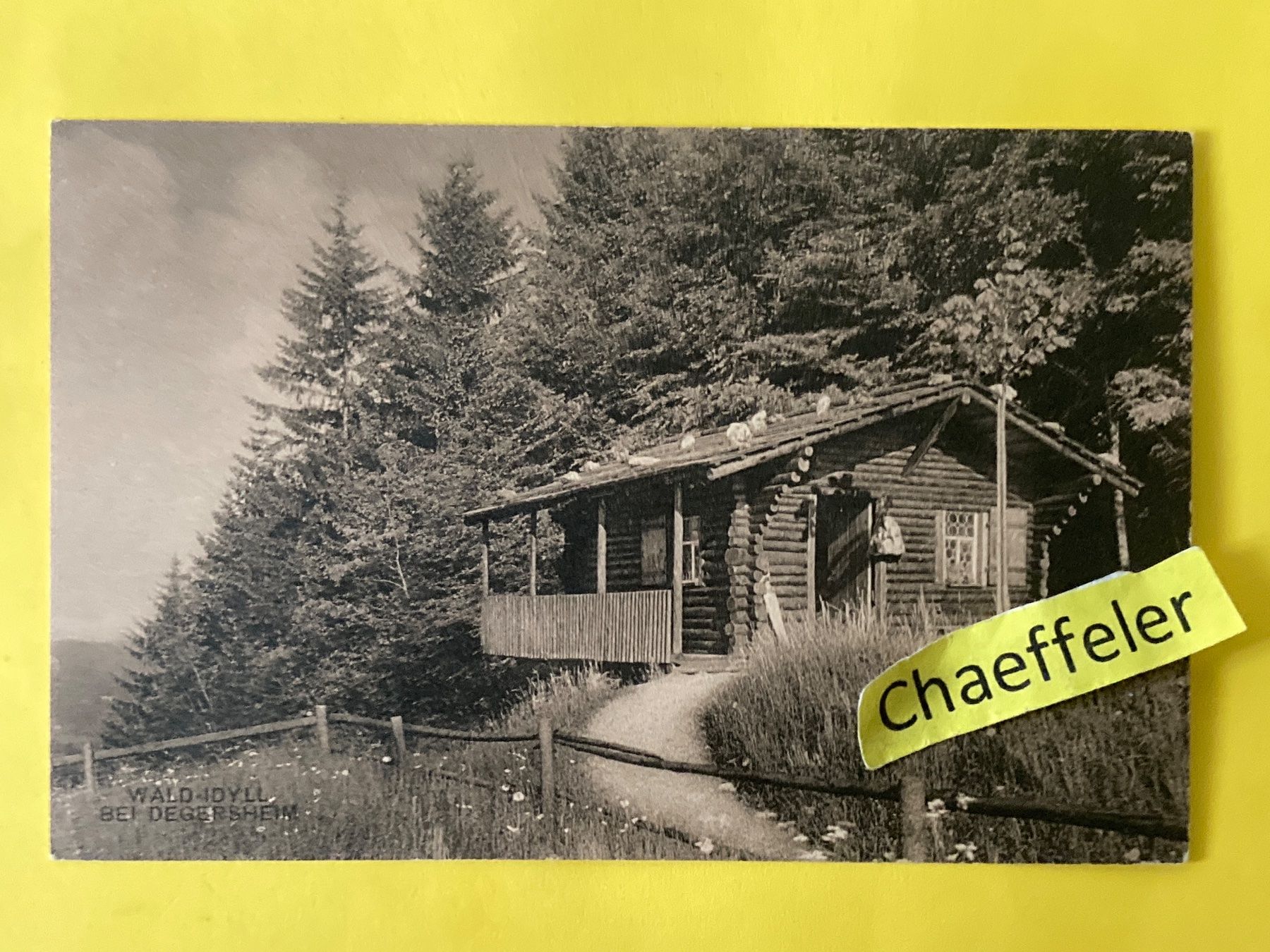 Cartes postales: Wald-Idyll bei Degersheim – D'occasion à Zürich par Chaeffeler