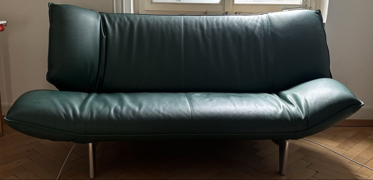 Leolux Sofas: Leolux Tango Grünes Sofa – D'occasion à Zürich par len_yj7n 1