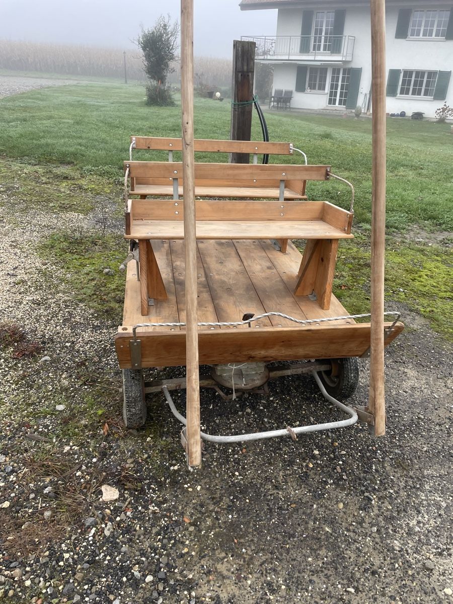 Carrozze: Ponywagen – Usato da Schüpfen venduto da 184 3