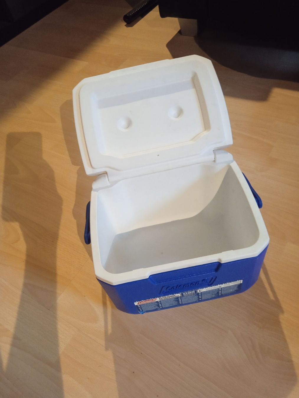 Frigoriferi: Small refrigerator for Picnic/Barbecue – Nuovo (secondo la descrizione) da Flums venduto da hec_flums