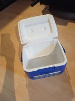 Small refrigerator for Picnic/Barbecue