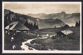 Rotbad, Brunialp, Weidende Kühe vor der