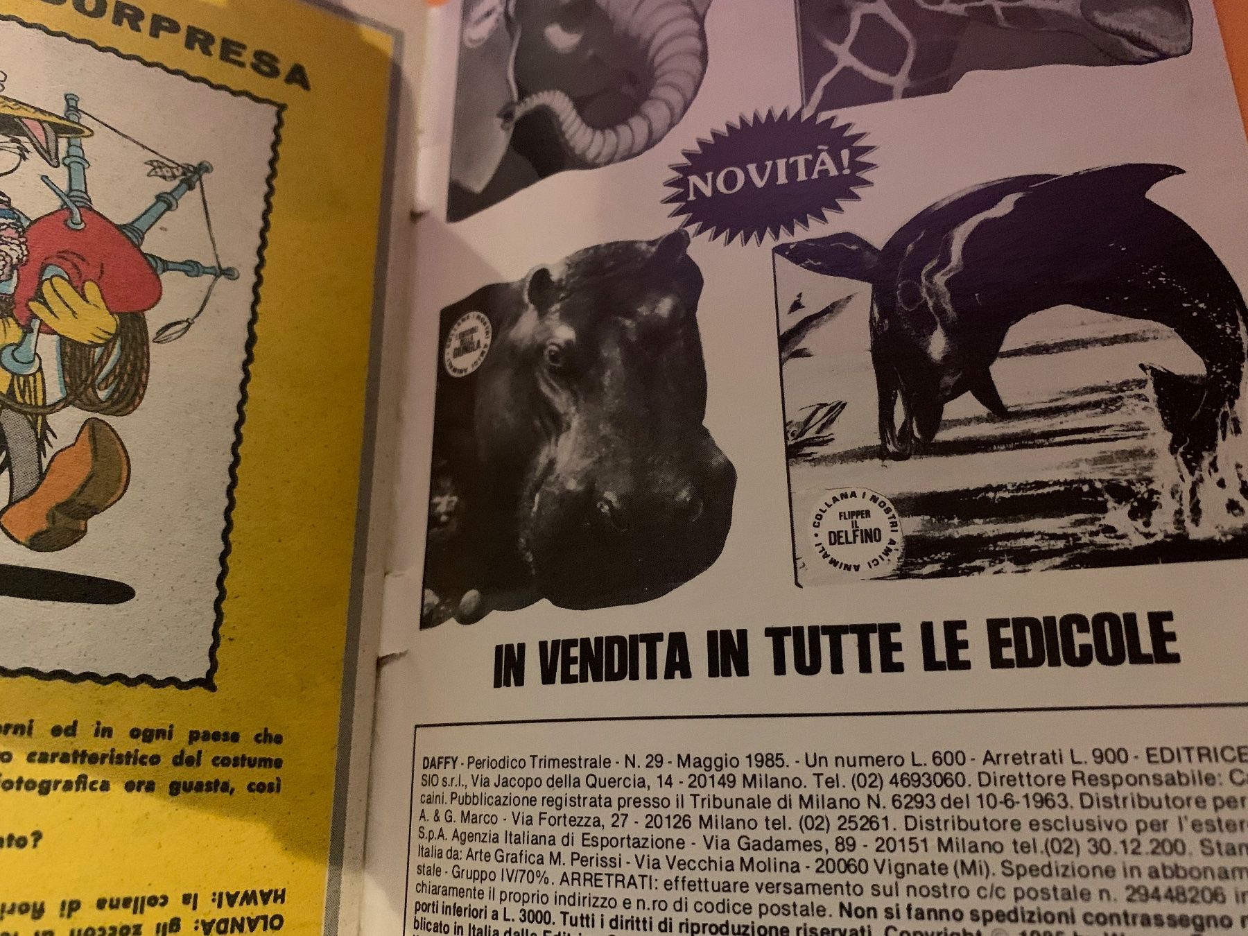 Libri: DAFFY n. 29  / fumetto 1985 – Usato da Arbedo venduto da nadia1973 4