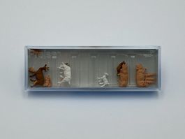 Preiser 14162 H0 Ziegen und Schweine
