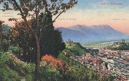 Vista su Bellinzona