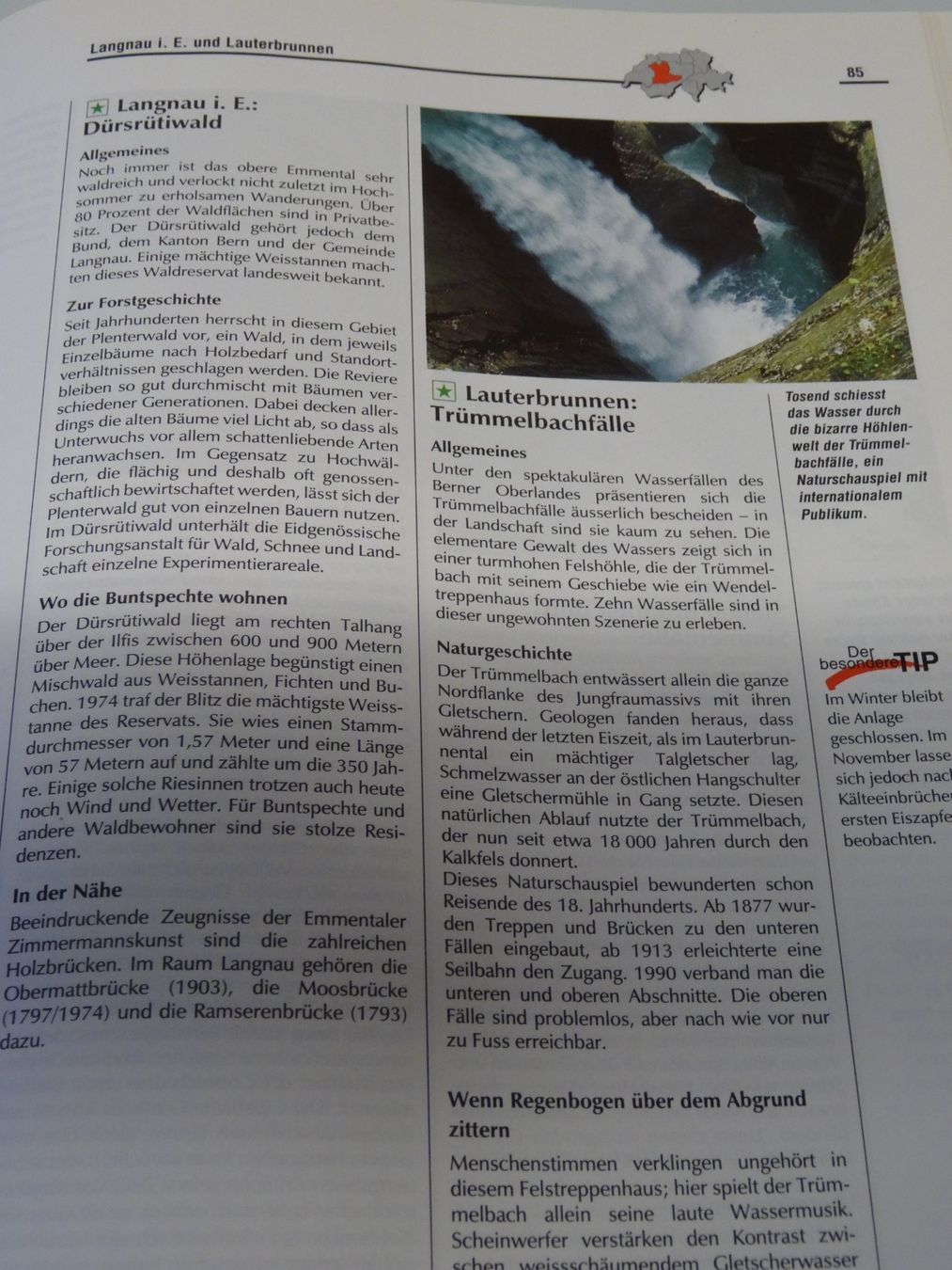 Libri: Buch Mosaik Schweiz – Usato da Winterthur venduto da valbella7 1