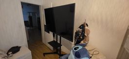 Philips 65 Zoll 4K Smart TV Ambilight mit mobilem Gestell - 