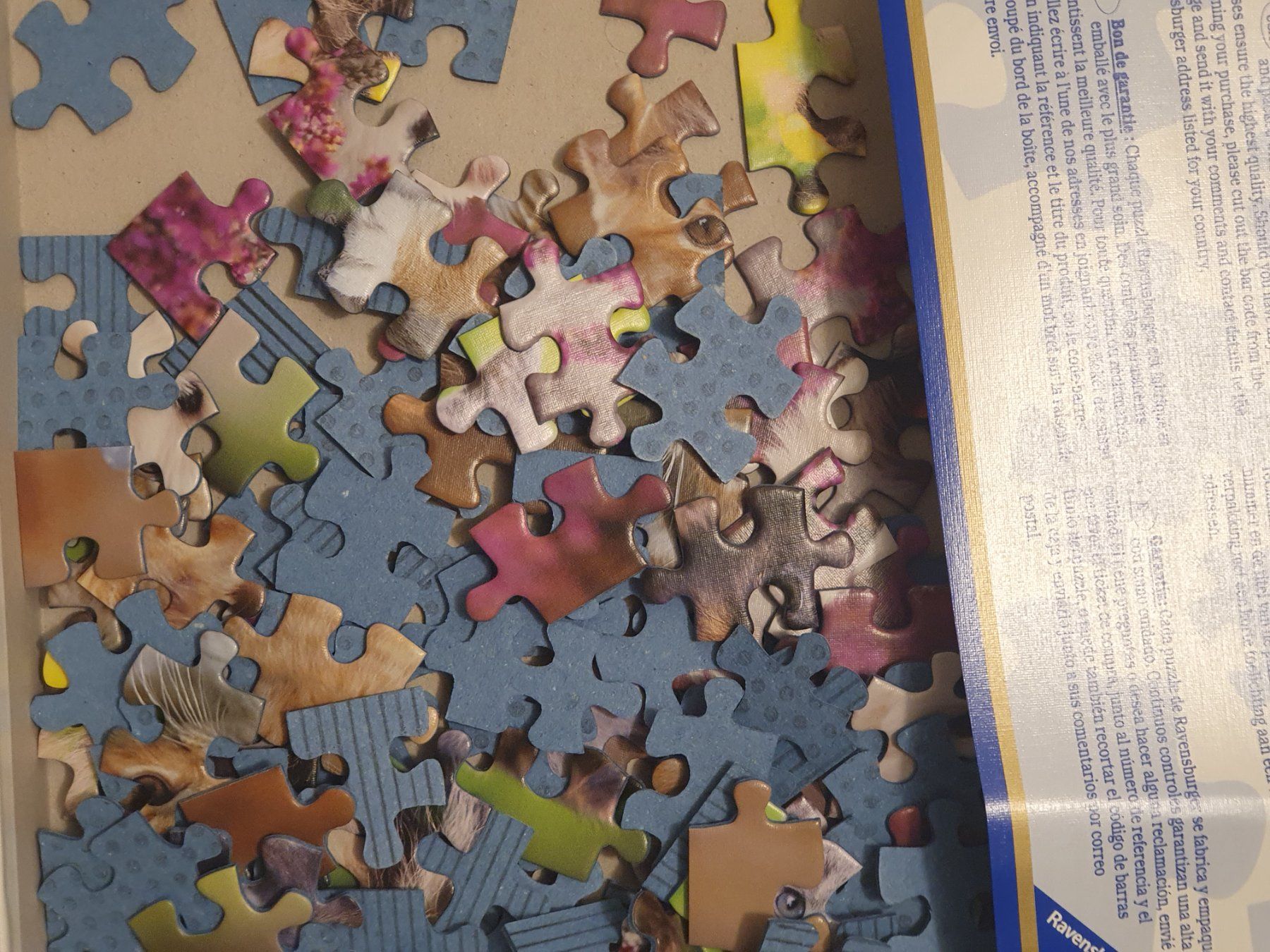 Ravensburger Puzzle: Ravensburger Puzzle Hund + Katze / 3x 49 – Usato da Oberdorf BL venduto da BaldenEagle 1