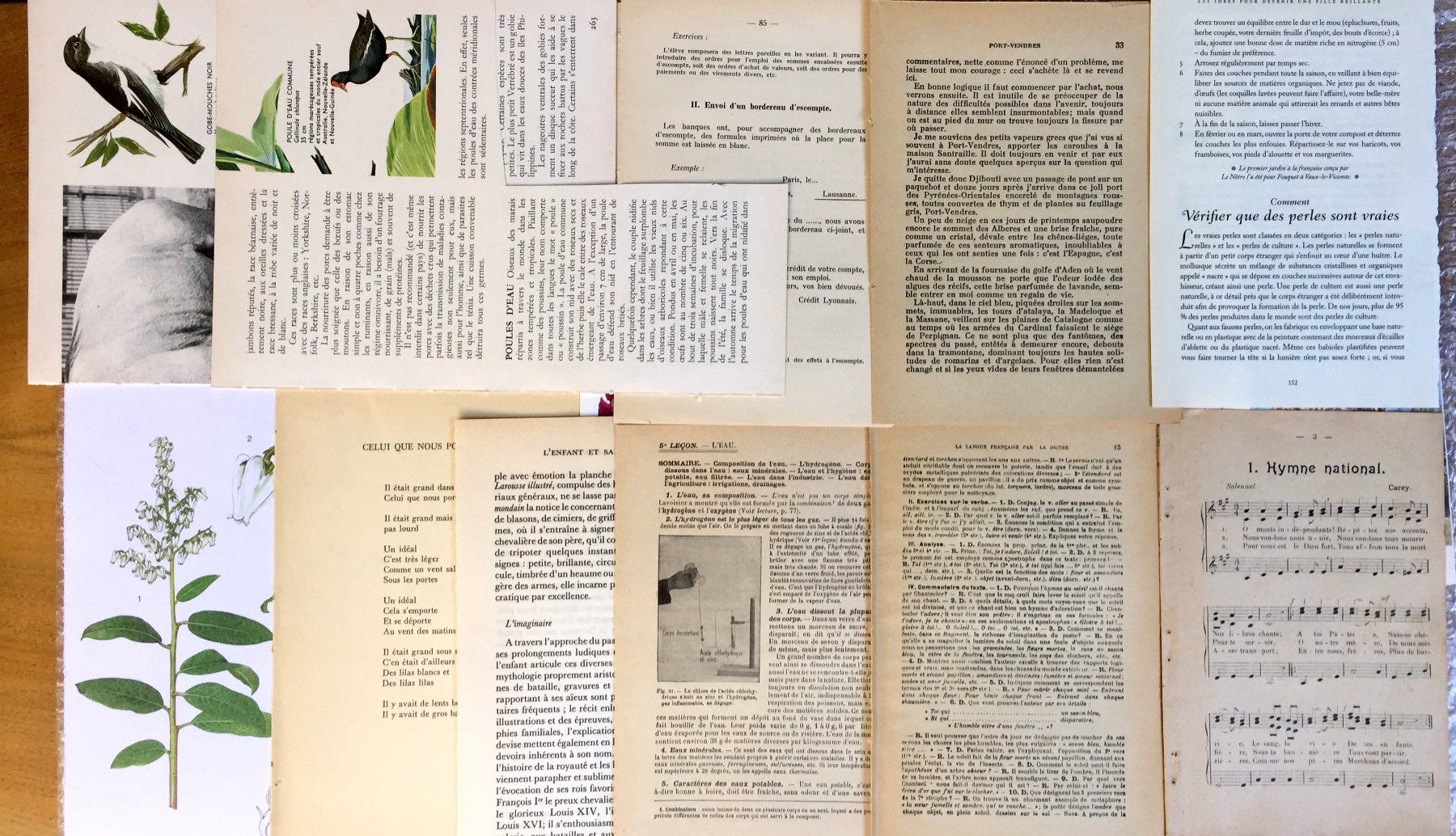 Bücher: ephemera 9/papier collage bastelpapier scrapbooking +Versand – Gebraucht aus Pully von websurfer1 8