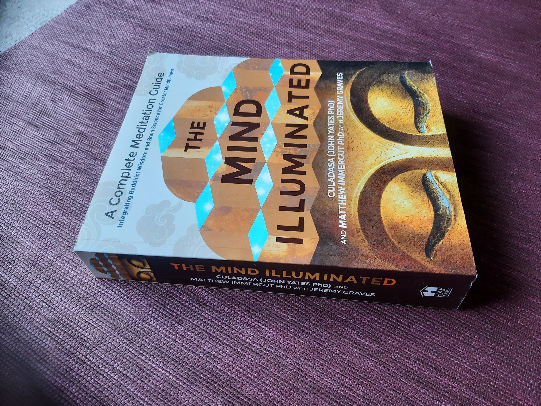 Livres: The Mind Illuminated - John Yates PhD – D'occasion à Fribourg par metalhands 1
