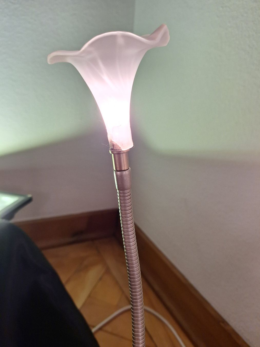 Lampade: Wunderschöne Lampe mit 2 Ersatzgläser – Usato da Luzern venduto da luc_9k8h 2