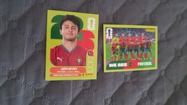 Panini Sticker WM 2026 - POR 13 und 14