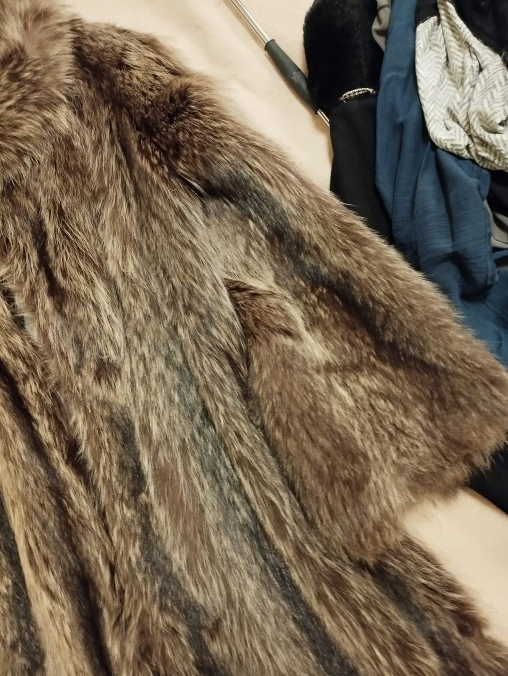 Cappotti: Pelliccia di Marmotta Vintage – Usato da Baar venduto da dib_tw56 1