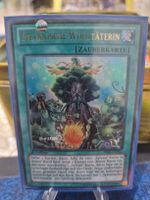 Yu-Gi-Oh Karte Sylvanische Wohltäterin PRIO-DE062 
