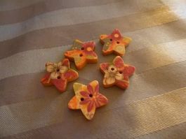 20 Holzknöpfe Sternli mit Blumen 17 mm