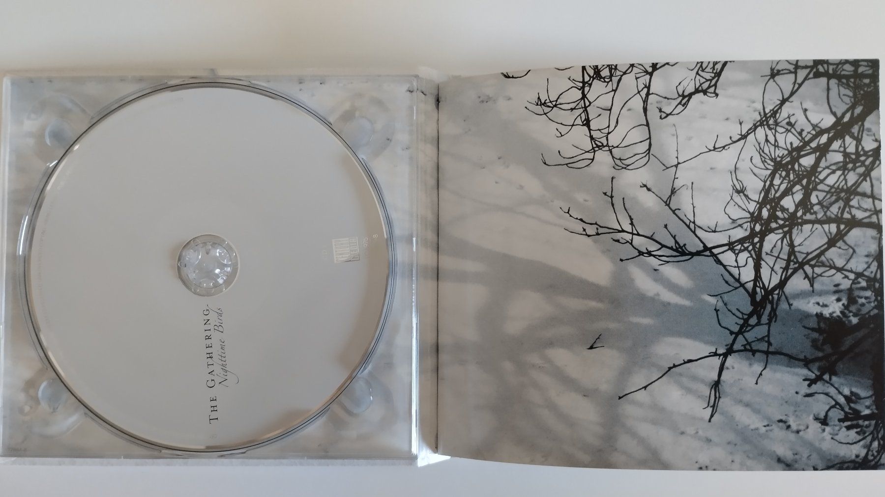 CDs: THE GATHERING 2-CD DIGIBOOK NIGHTTIME BIRDS – Gebraucht aus Basel von Bal-Sagoth 2