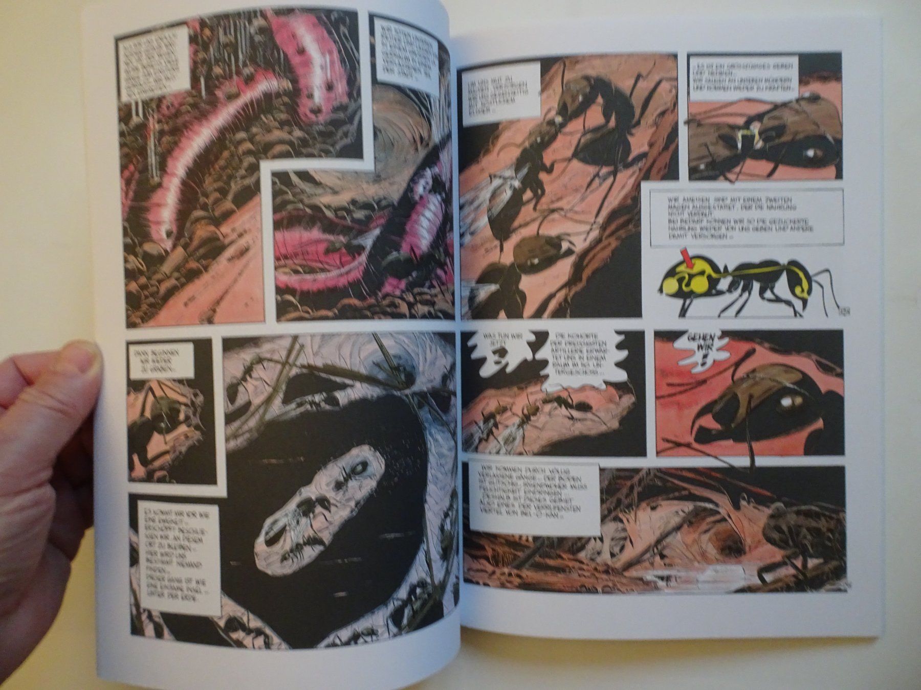 Comics: Bernard Werber: Ameisen - – Gebraucht aus Schönenwerd von schnitzunddrunter 4