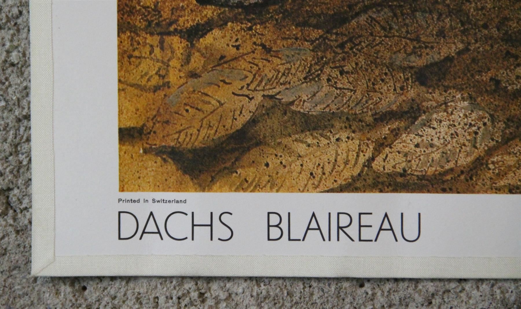 Poster & Bilder: Schulwandbild "Dachs" Peter Bergmann – Gebraucht aus Birrwil von brandschatz_birrwil 4