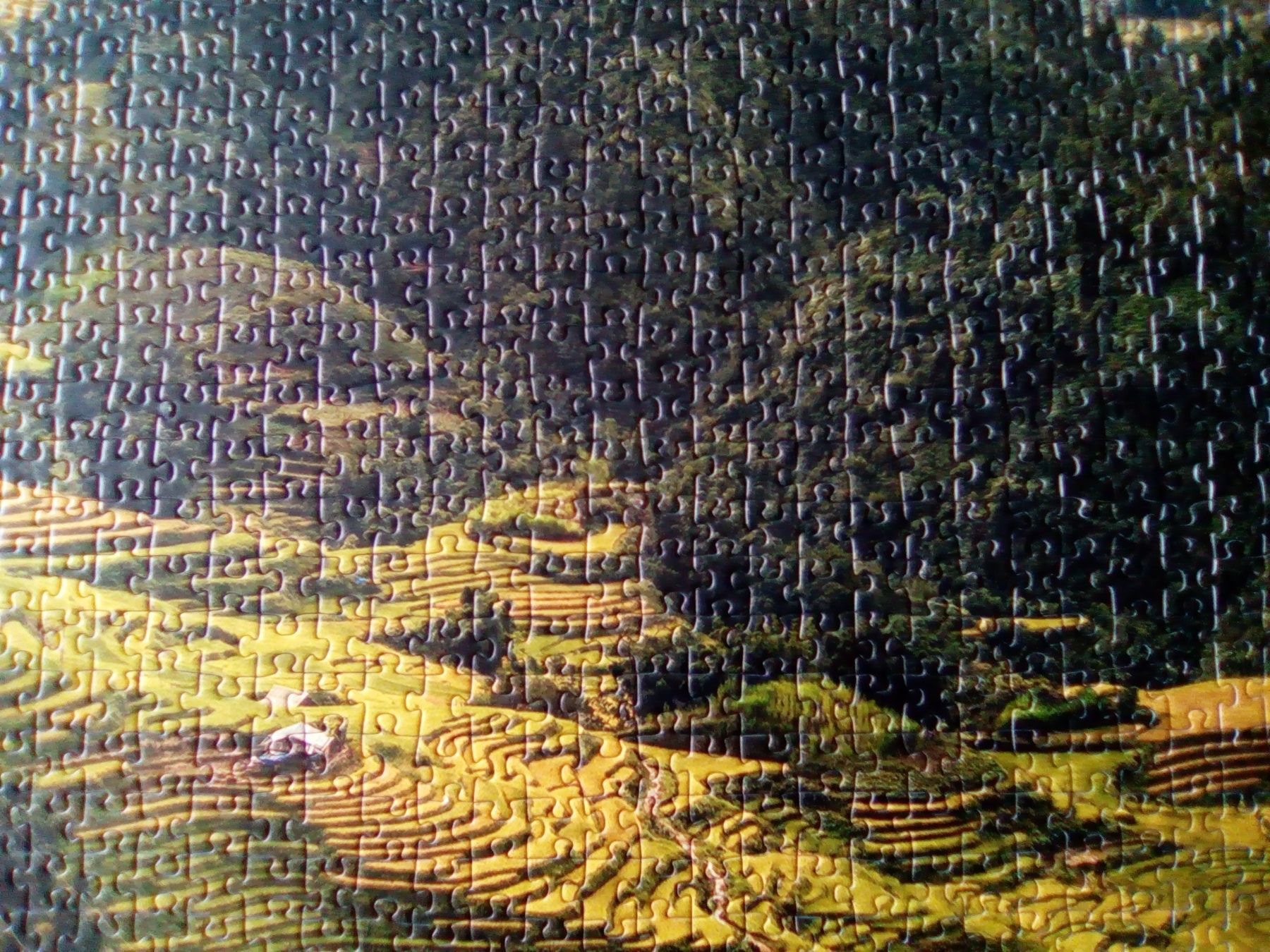Ravensburger Puzzles: Ravensburger Puzzle 3000T  ab 1.--Fr – Neuf (Voir description) à Killwangen par Freds7 4