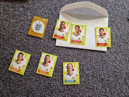 Panini WM 2026 Sticker ENG