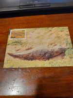 Venda, Timbre rare crocodile, Afrique du Sud 70c!