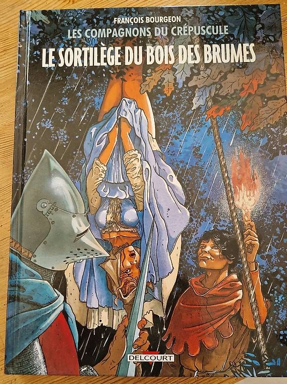 Comics: le sortilège du bois des brumes. Tome 1 – Gebraucht aus Morrens VD von emyjoie