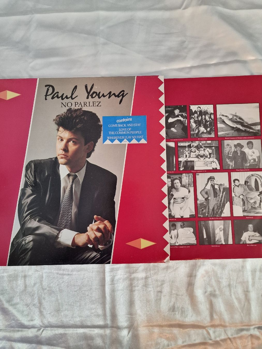Dischi in vinile: Paul Young - No Parlez – Usato da Pfaffnau venduto da gunport 2
