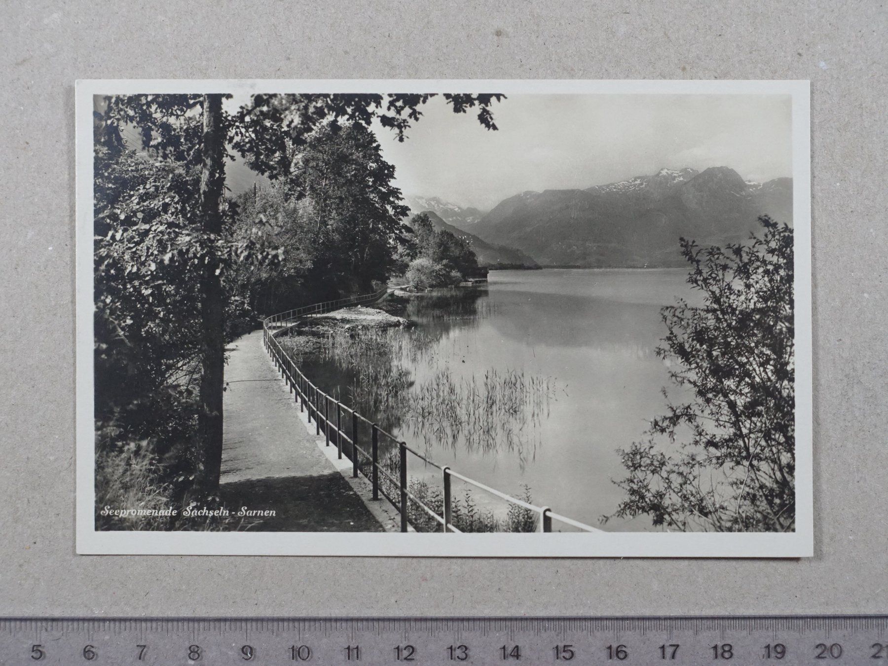 Cartes postales: Sachseln - Sarnen, Seepromenade – D'occasion à Lenzburg par fh1