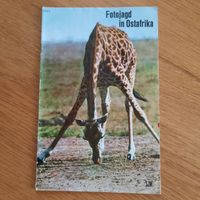 SJW Heft Nr. 1171 Fotojagd in Ostafrika 1972