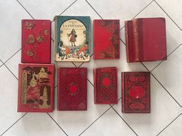 Lot de livres anciens de collection XIXe Dumas, La Fontaine 