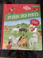 Kinder Wissen Pferde und Ponys mit Klappen