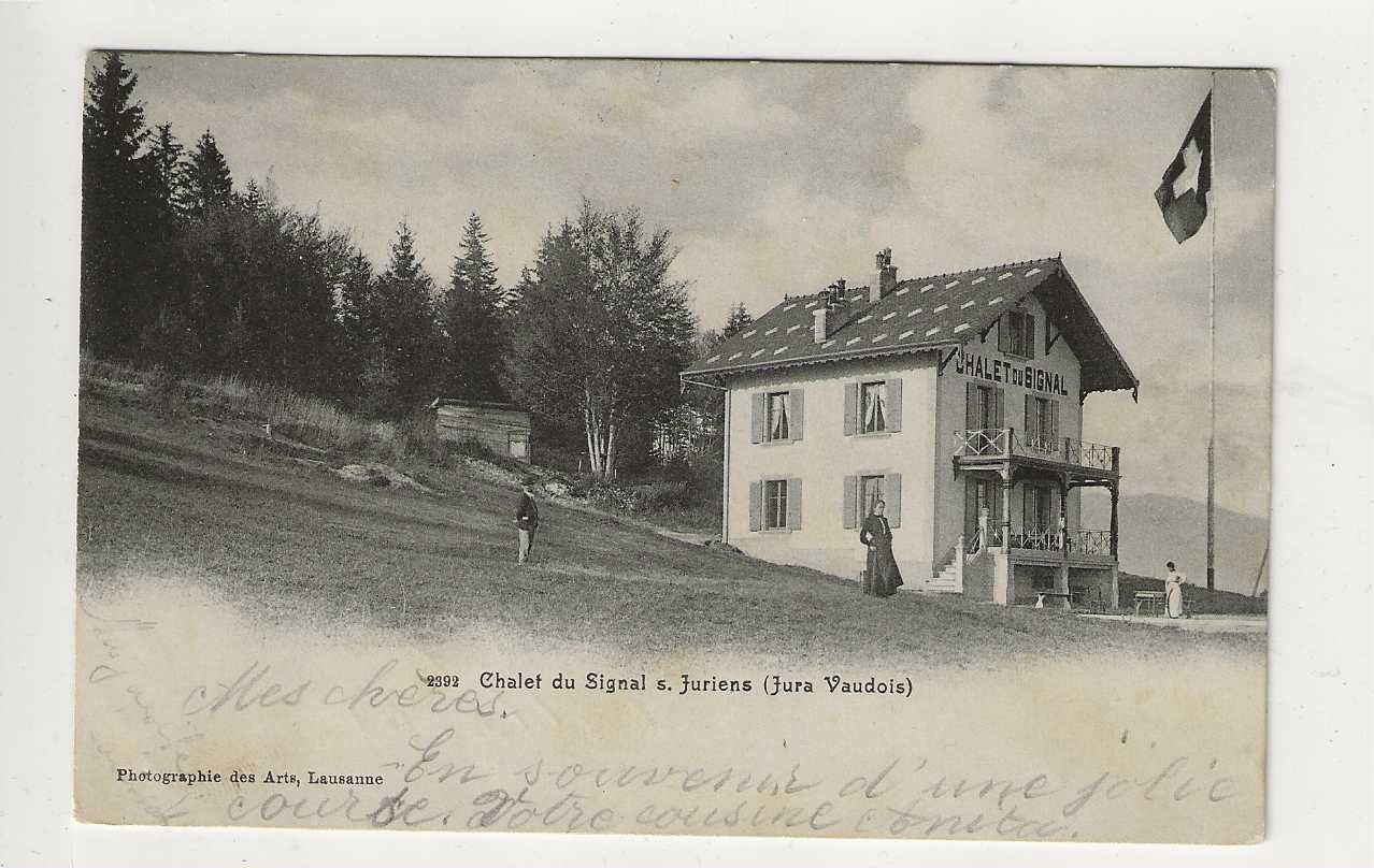 Ansichtskarten: Juriens, 1905 – Gebraucht aus Spiez von Niesen20