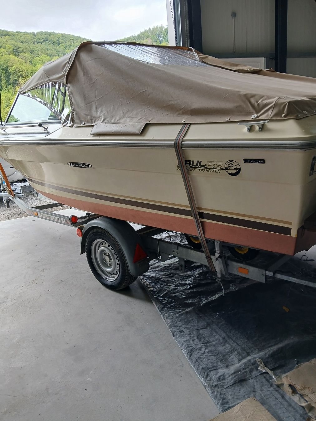 Sea Ray Barche: sportboot SeaRay 190 – Usato da Bülach venduto da dan_jdf8 2