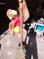 Singe automate à air soufflé