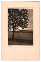 Fotografie Adalbert Defner, Ort unbekann