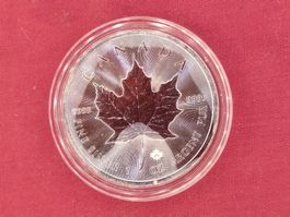 Silber Maple Leaf 1 oz - 2015