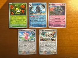 Pokemon Reverse Karten Set (Versand gratis)