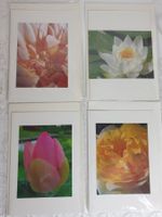 4 x Karten Grusskarten Fotokarten Glückwunschkarten