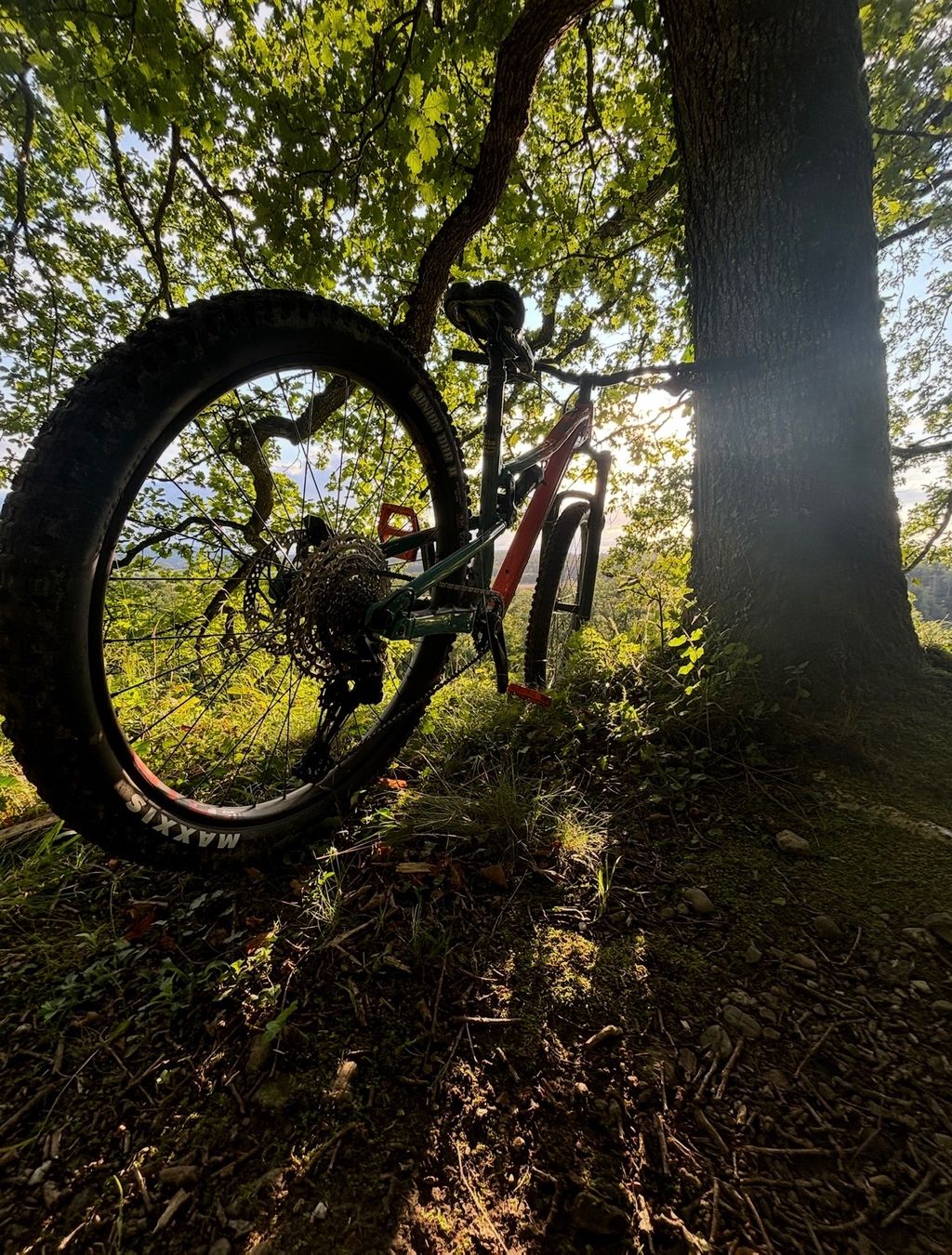 Rocky Mountain Bicycles Biciclette: Rocky Mountain Instinct Alloy 30 ( 27.5 ") – Usato da Bülach venduto da Zh94 2