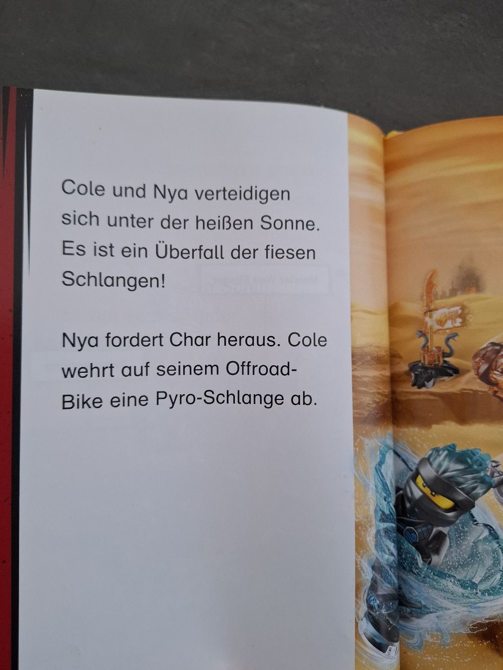 Libri: Ninjago Bücher 2 Stück – Usato da Nänikon venduto da Graceful 1